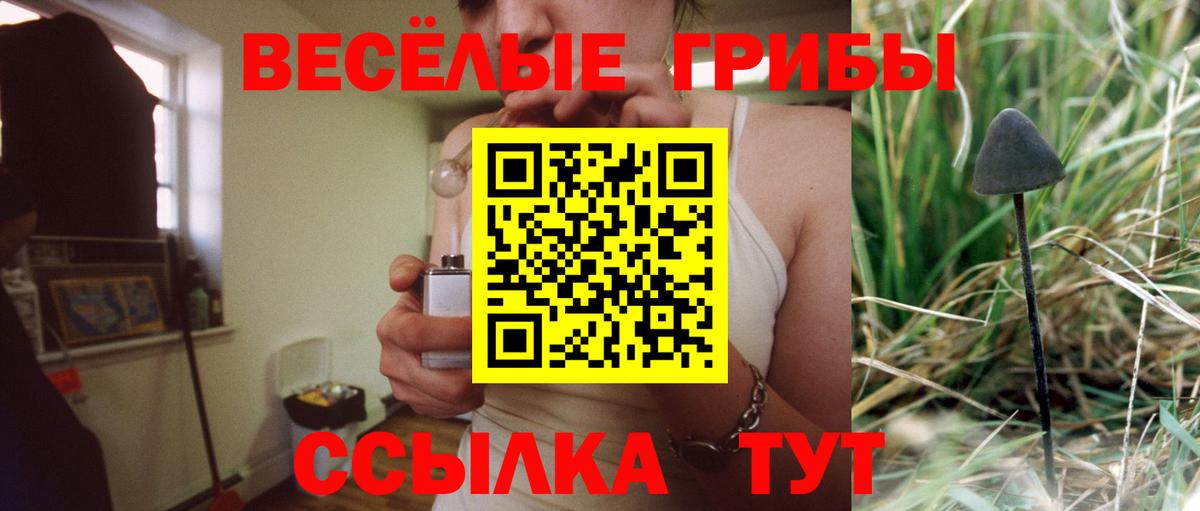 Псилоцибиновые грибы MAGIC MUSHROOMS Надым